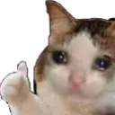 Emoji cat_ok