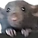 Emoji greyrat