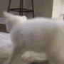 Emoji catreev