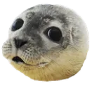 Emoji phoge