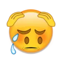 Emoji emoji_16