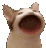 Emoji WAWA