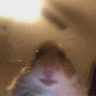 Emoji Hamster_AZ