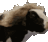 Emoji Sexy_AZ