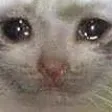 Emoji Sad_AZ