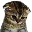 Emoji Triste_AZ