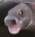 Emoji Rage_AZ
