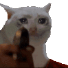 Emoji Adieu_AZ