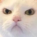 Emoji PARDON
