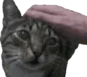 Emoji Pat1_AZ