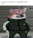 Emoji chien