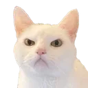 Emoji angry_cat