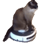 Emoji ASPICHAT
