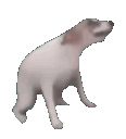 Emoji 1010958205729374269