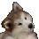 Emoji wtfdog