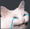 Emoji crying_cat