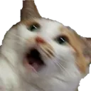 Emoji shookcat