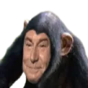 Emoji sinje