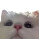 Emoji peekchat