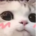 Emoji blushcat
