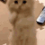 Emoji 1251cute2