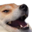 Emoji dog_kek
