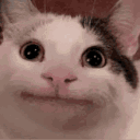 Emoji tugcat