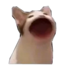 Emoji emoji_13