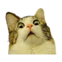 Emoji emoji_15