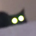 Emoji catstareglare