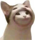 Emoji catincat