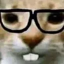 Emoji catnerd