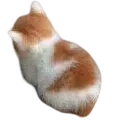 Emoji CatAngy