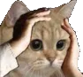 Emoji 1003061194493546649