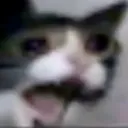 Emoji 01_catsadcry