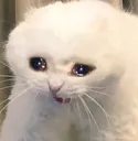 Emoji sadcat
