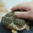 Emoji SECT_w_frog_pat