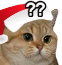 Emoji christmasstarecat