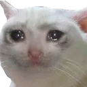 Emoji cat_cry