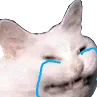 Emoji cattocry