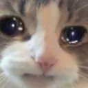 Emoji emoji_38