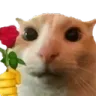 Emoji no_catrose