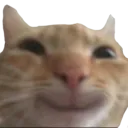 Emoji no_swagcatsmile