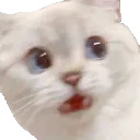 Emoji 750811481540526193
