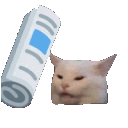 Emoji LP_bonk
