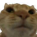 Emoji LP_catno