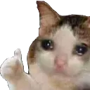 Emoji im_okay