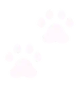 Emoji Animateur