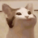Emoji emoji_36