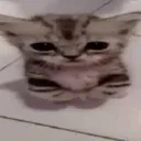 Emoji socute